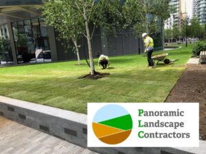 Achieving great growth with Panoramic Landscapes
