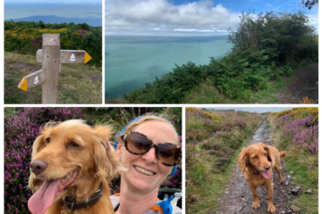 Coastal walk collage